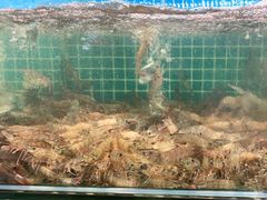 -三亚相缘海鲜·烧烤·糟粕醋(三亚湾店)
