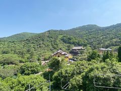 -树山生态村