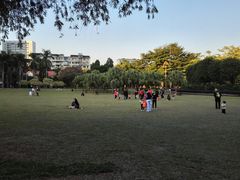 -东风公园