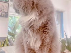 -小涵家蛋糕·咖啡(金山湖花园店)