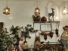 -春风·有糖(崇宁路店)