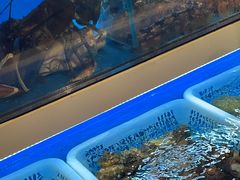 -丁字口海鲜热炒·烧烤大排档