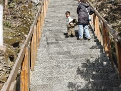 -云碧峰国家森林公园