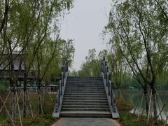 -泗洪洪泽湖湿地景区