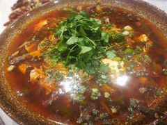 -院8里·少城记忆老川菜(宽窄巷子店)