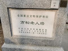 -万松老人塔