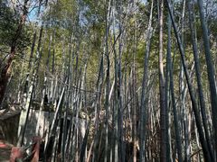 -敬亭山风景名胜区