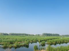 -白洋淀风景区