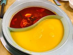 青瓷金汤锅-青瓷火锅料理(西单大悦城店)