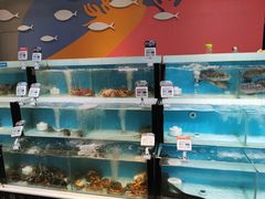 水产区-盒马鲜生(杭州运河上街店)