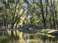 -长白岛森林公园