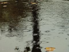 -银同牦牛肉火锅