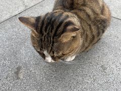 -阿育王寺