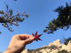 -崂山巨峰游览区