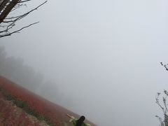-乌村