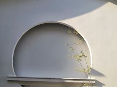-217笋干馄饨