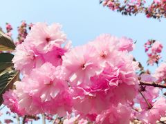 -杜勒瓦DIY烘焙&个性化蛋糕定制