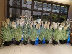 -野妹火锅(龙岗店)