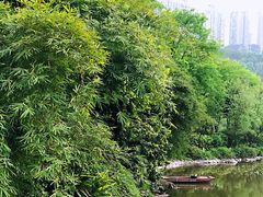 -龙头寺公园