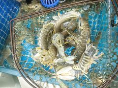 -宾朋海鲜特色美食餐厅·纯手工鲅鱼水饺(兴海路店)