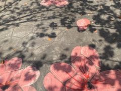 -高东镇樱花园