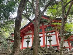 -奈良公园