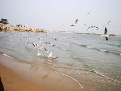-老虎石海上公园