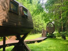 -黄海国家森林公园