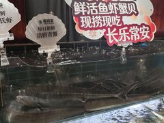-港汇恒隆广场