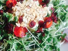 -机器人火炉披萨