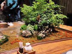 -森味薪火烧•烧鸟居酒屋•日本料理(望京店)