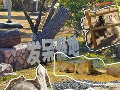 -茅山东方盐湖城景区