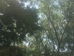 -苏州河梦清园环保主题公园