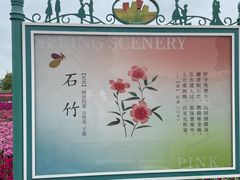 -荷兰花海