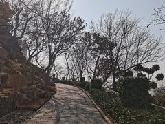 -青岛海滨风景区小鱼山