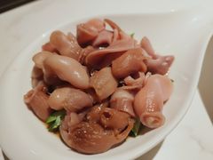 椒麻鱼肚-十六台·经典广东菜(德外大街店)