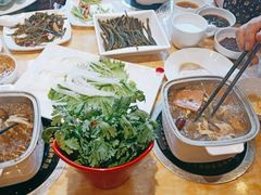 -清真军邺·金富苑肥牛(石坡街旗舰店)