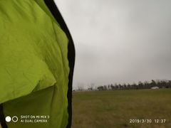 -春花秋色城市公园