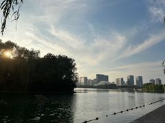 -天鹅湖体育公园