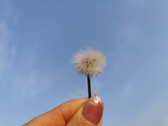 -洨河生态公园
