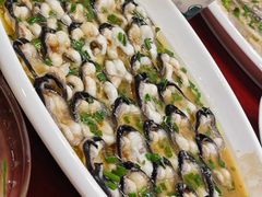 -呼吸森林·生态农庄农家乐私房菜