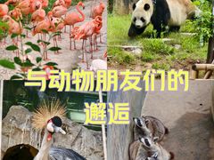 -大连森林动物园