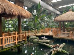 -南宫五洲植物乐园