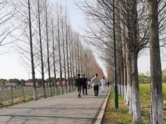 -嘉北郊野公园