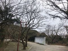 -普陀山风景区-佛顶山