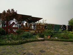 -上海长兴岛郊野公园