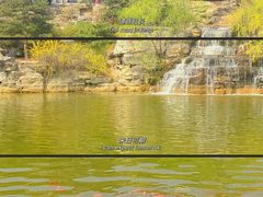 -北京西山国家森林公园