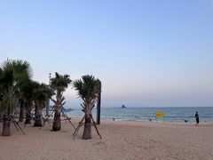 -大梅沙海滨公园