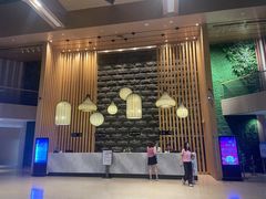 -齐河孔雀王温泉酒店·金孔雀自助百汇