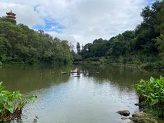 -深圳仙湖植物园